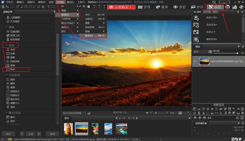 ACDSee旗舰版64位